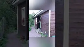 ИСКАЛ КОШКУ НА СОСЕДНЕМ УЧАСТКЕ И УВИДЕЛ...😱#shorts