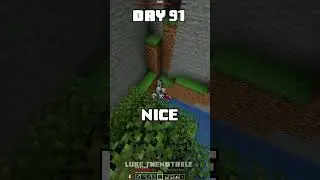 100 Days - [Minecraft Shorts] - Day 91 #minecraft #100days