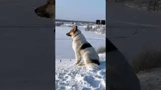 21 апреля 2024 г.-15°с