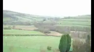Timelapse. crazy sheep
