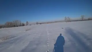 Охота на зайца 2022-2023г. 