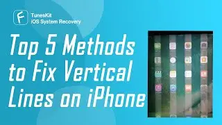 5 Methods to Fix Vertical Lines on iPhone