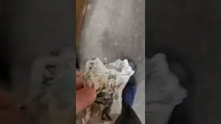 жалко 50 рублей