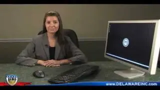 Delaware Franchise Tax 101