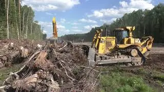 Бульдозер Cat D9R и экскаватор JCB JS305LC корчуют пни часть 2