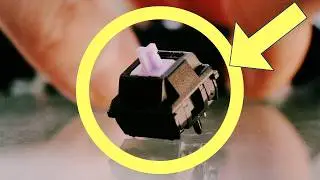 Top 5 Switches of July 2026