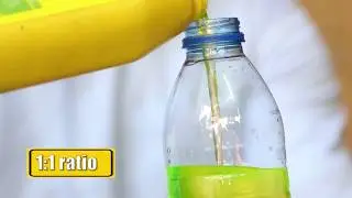 MNLToday.ph - PRESTONE Coolant Demo