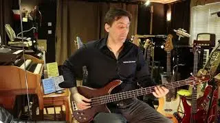 Bass Collection Basses: Speakeasy Basses