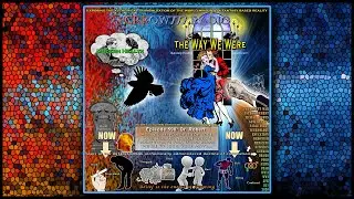 590- The Era of Toxic Overload - with Dr. Robert