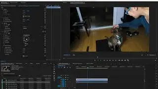 Flicker Free 2.0 Beta Overview