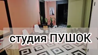 ПУШОК где моя мастерская ПУХОВЫХ ПЛАТКОВ?зачем она мне? 89608709467