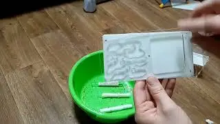 Вертикальный формикарий. Чистка и заливка гипса.