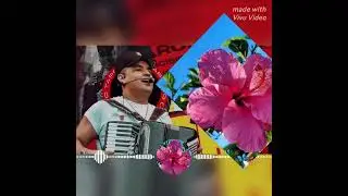 literalmente// tarcísio_do_acordeon/// musica nova