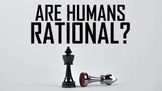 Are We Rational?