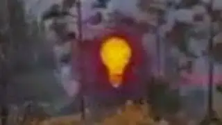 КУСТЫ ПОЛОМАЛИСЬ