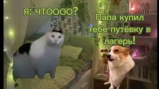 Сериал "Лагерь" 1 часть, 1 сезон🔥 #яфанмиикотиковой #жиза #мой_день