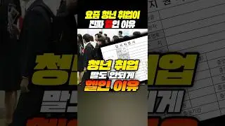 요즘 2030 청년 취업이 "진짜 헬인 이유"