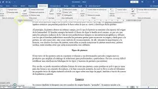 Como insertar notas al pie de página
