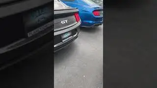 Mustang GT Cold Start!
