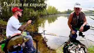 Рыбалка на карьере . Ловля линя , плотвы ! Осень 2024 #рыбалка #линь