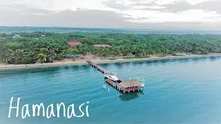 Hamanasi | 2019