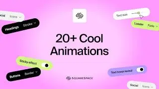 How to Add Animations to Squarespace (20+ Animations)