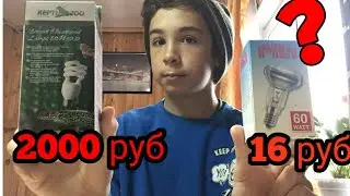 Лампы для рептилий, UVB+BVA