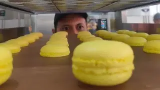 MACARON