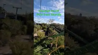 Cheetah Hunt from Skyride POV 2024 #cheetahhunt #buschgardens  #rollercoaster