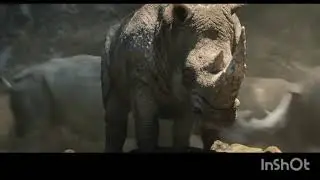 Jumanji:Welcome To The Jungle [2017] Albino Rhinoceros Screen Time 