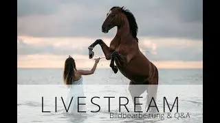 [LIVESTREAM] BILDBEARBEITUNG und Q&A