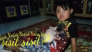 SEUEKOR KUCING YG MEMBUAT GADIS KECILKU KEMBALI CERIA