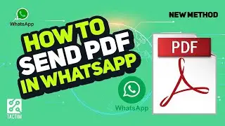 How to Send PDF in WhatsApp 2023: Step-by-Step Guide