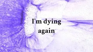 Evanescence-Going Under lyrics
