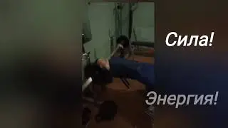 Мы выбираем спорт