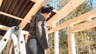 SO MUCH Progress - Homestead Build - Shed Build pt 3