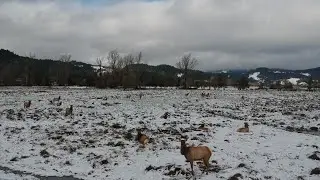 Snowy Little Lake Valley