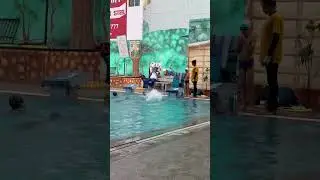 Advance level swimming coaching 🏊‍♀️
