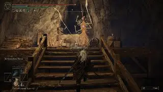 ELDEN RING - Sellia Crystal Tunnel and Fallingstar Beast Boss Fight