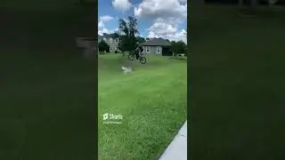 CRAZY jump on a surron #short #shorts #surron