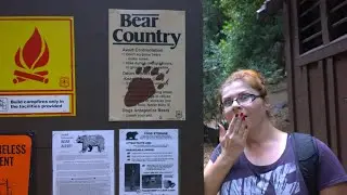 Hike to Mt Wilson