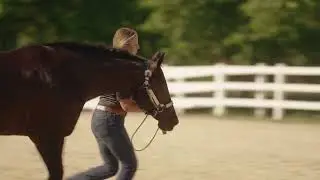 The Making of A Masterpiece Pattern of Perfection Teaser
