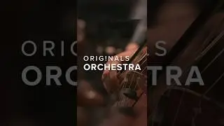 Spitfire Audio’s $99 Orchestra 🎻 [Full Video in Comments ↗️]
