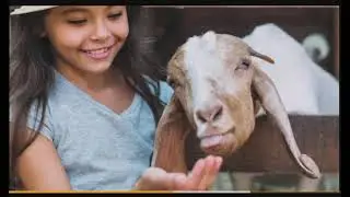Rcm Abhiyan Prachar video