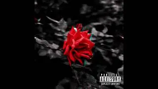 Sir B.L. - FLOWERS (Official Audio)