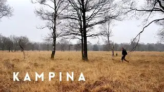 Wandelen door de Kampina