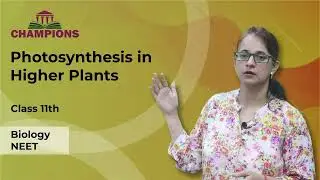 Biology | Photosynthesis in Higher Plants | Class 11 | JEE-NEET | Champions Academy