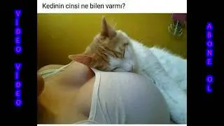 KOMİK RESİMLER  VE KARİKATÜRLER ( PART 4 ) + 18 İÇERİKLİDİR