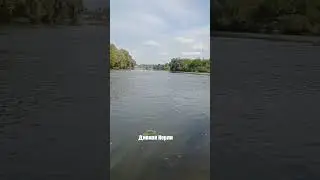 Дивная Нерли.