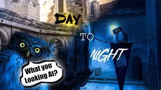 Turn Day Into Night | Photo Manipulation | Speed Art